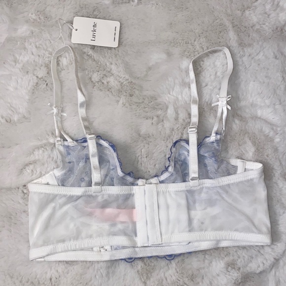 Floral Mesh Lingerie - Picture 5 of 10